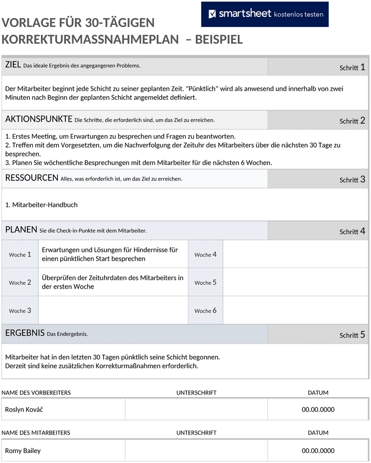 30-tage-korrekturmassnahmenplan-muster-word