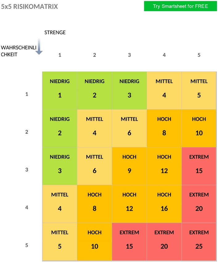 5×5-risiko-matrix-word-de
