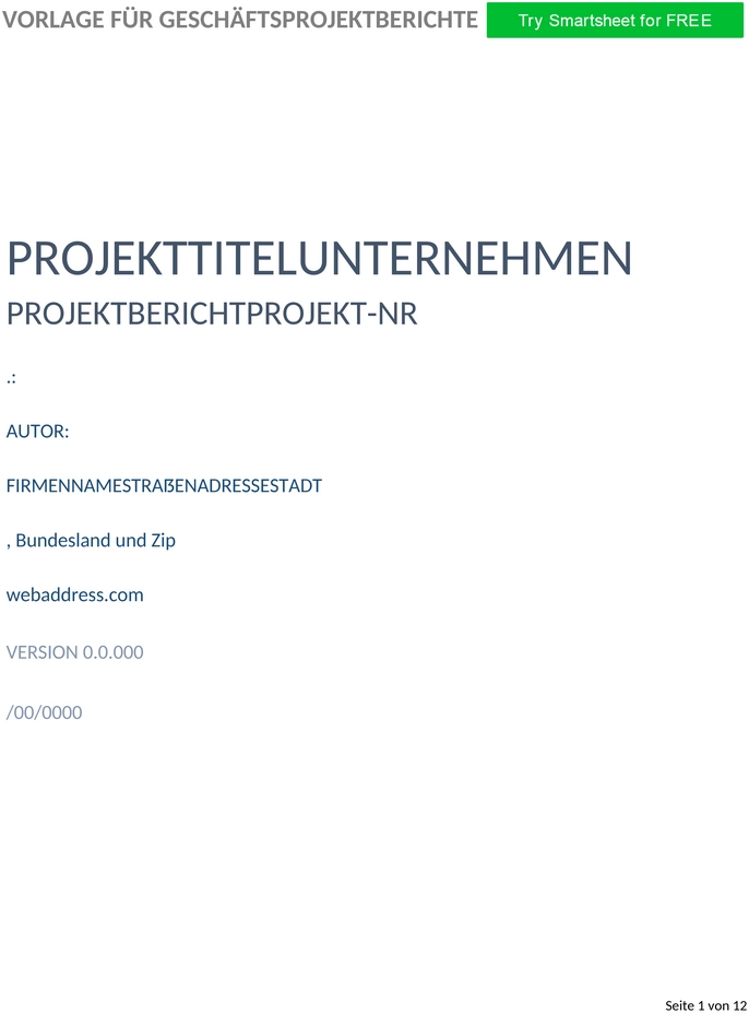 Business-Projekt-Bericht-Word