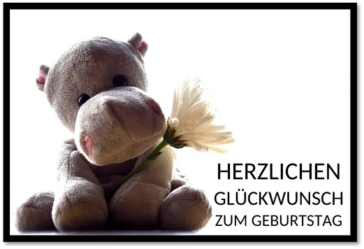 Einladungs-Karten-Geburtstag