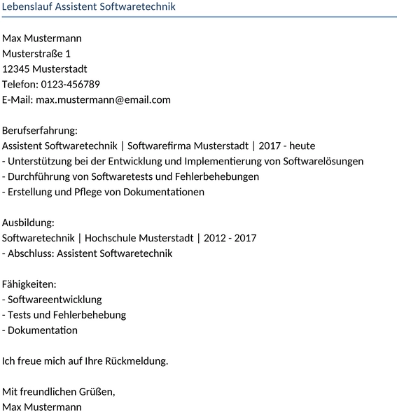 Lebenslauf-Assistent-Softwaretechnik