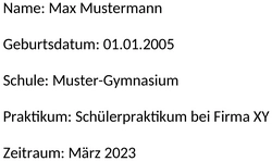 Lebenslauf-Schuelerpraktikum