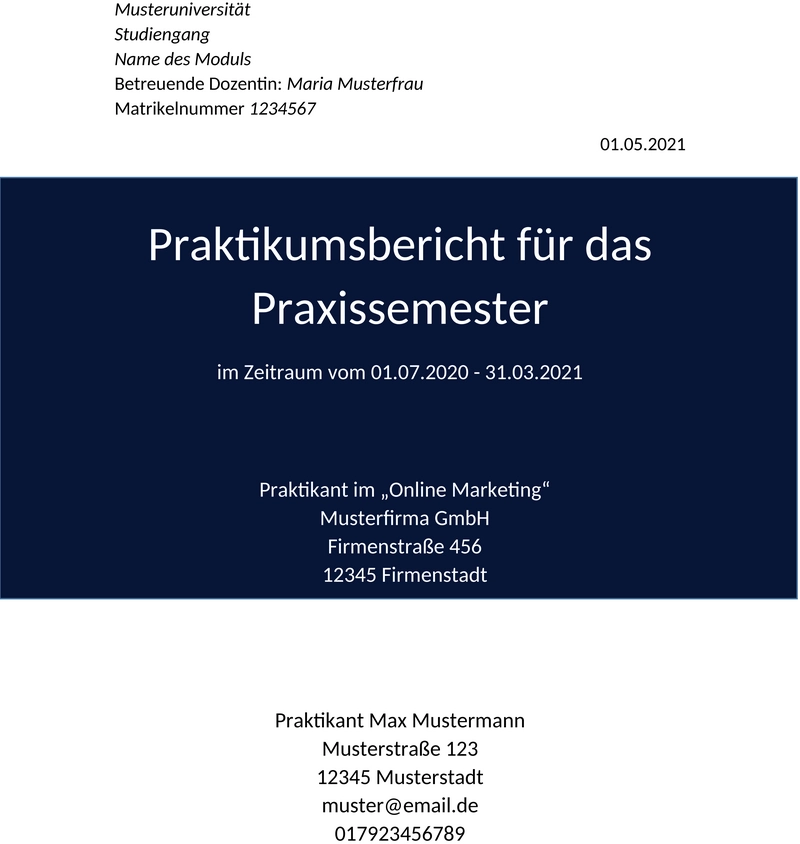 Vorlage-Praktikumsbericht-Studium