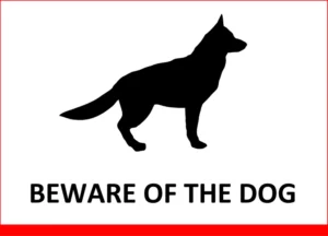 achtung-vor-dem-hund-word-vorlage