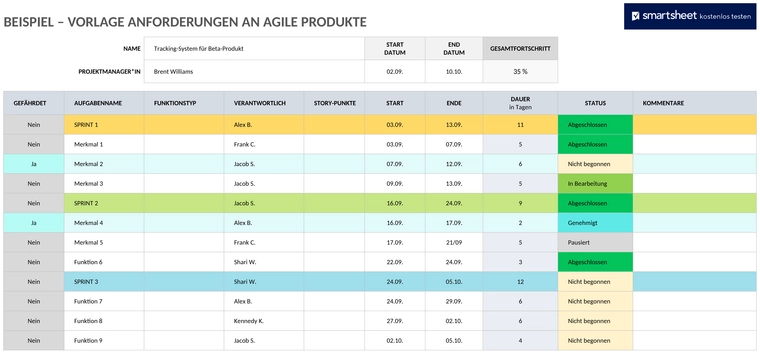 agile-produktanforderungen-vorlage-beispiel-50140_word_de
