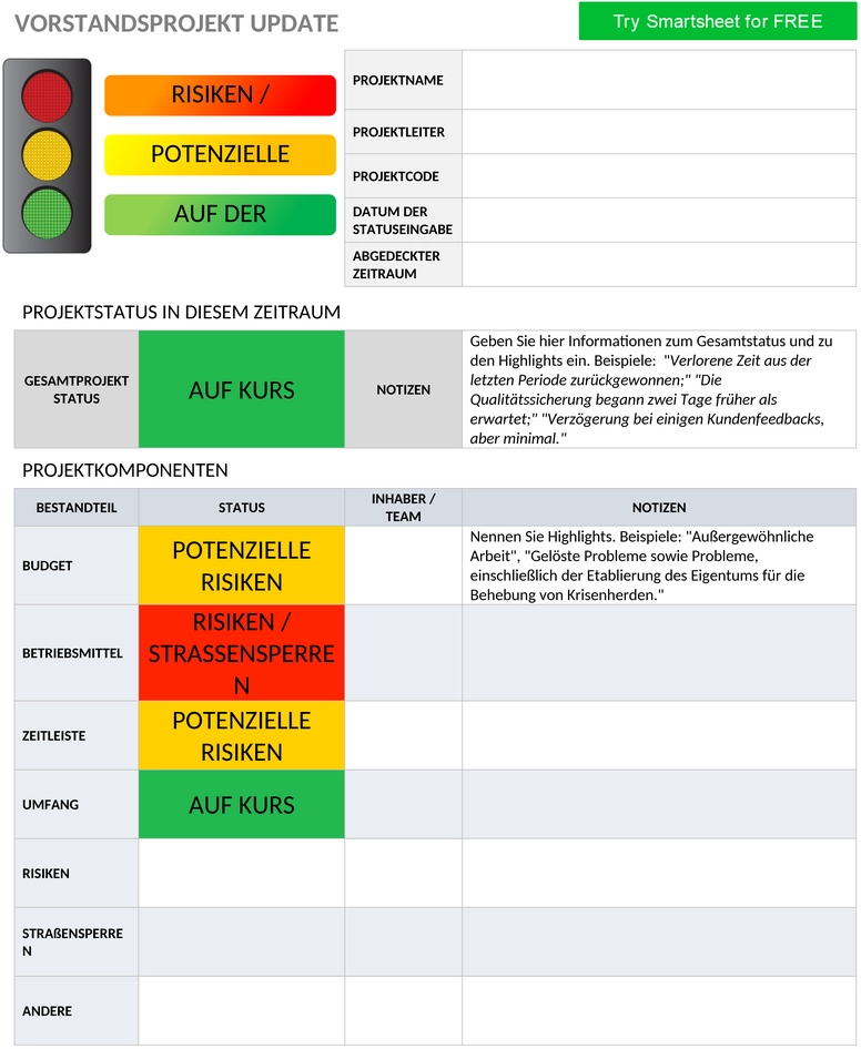 ampel-executive-projektbericht-update-49475