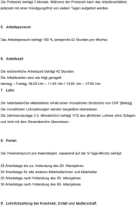 arbeitsvertrag-vorlage-mit-klaren-regelungen