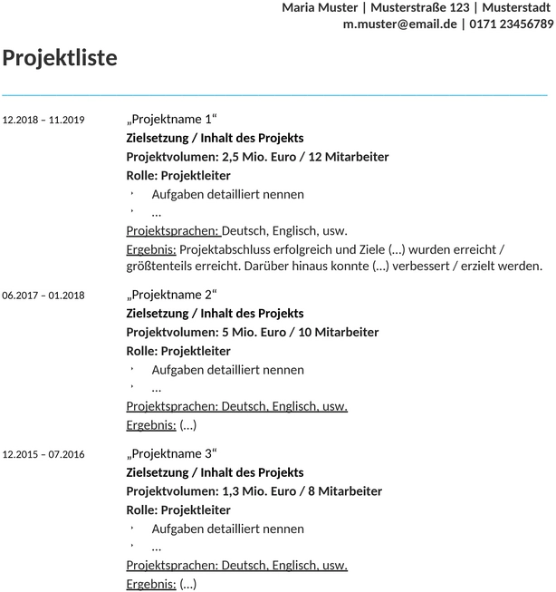 bewerbung-projektliste-vorlage