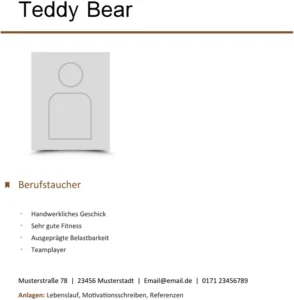 bewerbung-vorlage-fuer-business-anwendungen