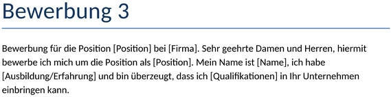 bewerbung-vorlage-professionell