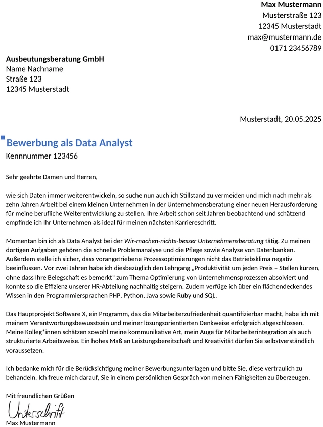 bewerbungsvorlage-data-analyst-berufserfahren
