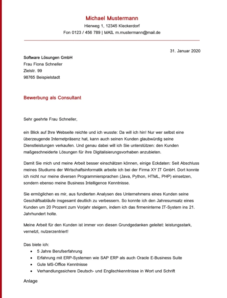 bewerbungsvorlage-fuer-consultant