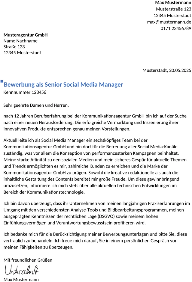 bewerbungsvorlage-social-media-manager-berufserfahren