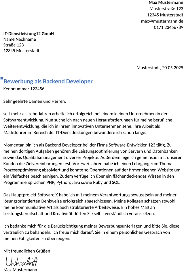 bewerbungsvorlagen-backend-developer-berufserfahren