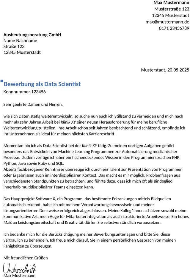 bewerbungsvorlagen-data-scientist-berufserfahren