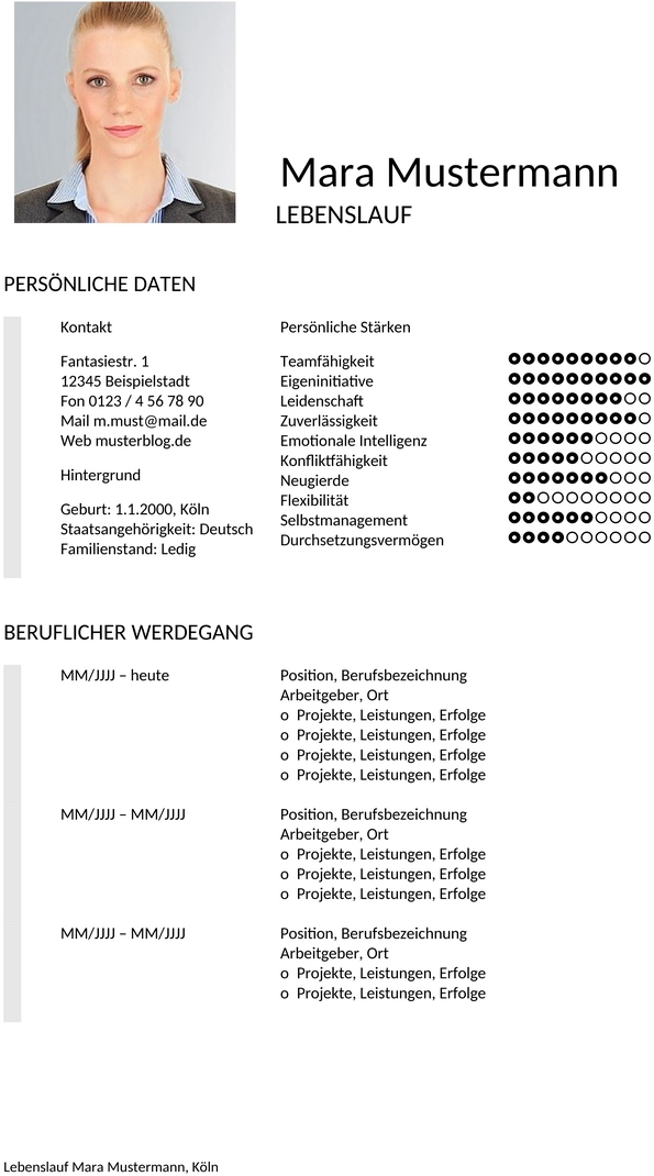 bewerbungsvorlagen-lebenslauf-set