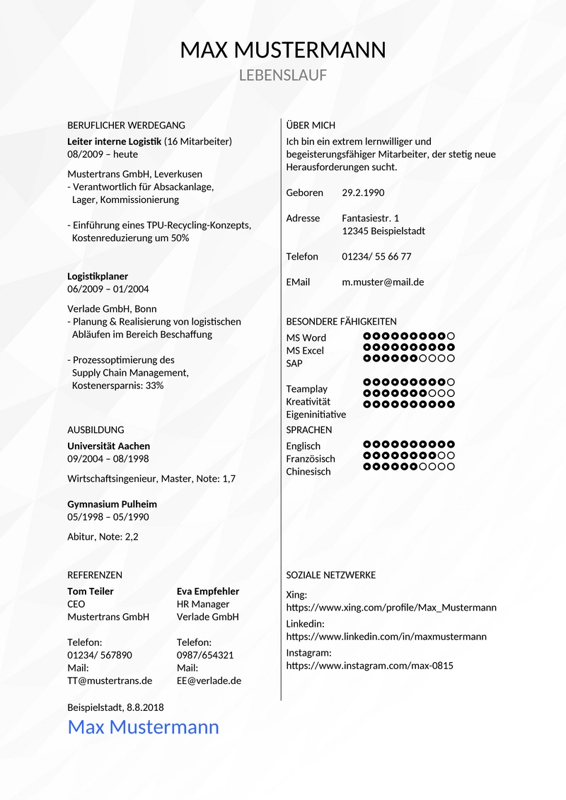 bewerbungsvorlagen-lebenslauf-set-professionell-02
