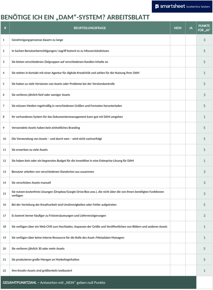 brauche-ich-ein-dam-system-arbeitsblatt-word