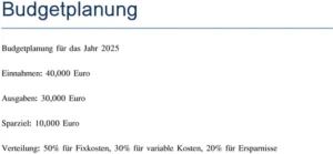budgetplanung-fuer-das-jahr-2025
