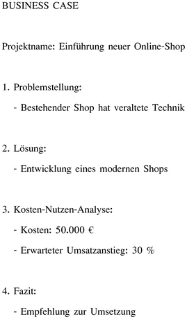 business-case-einfuehrung-neuer-online-shop