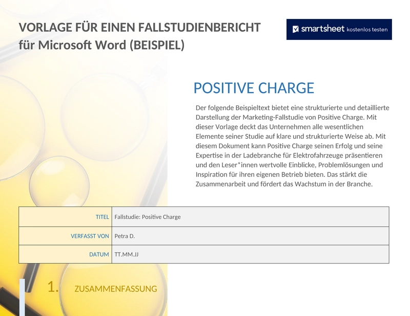 case-study-berichtsvorlage-microsoft-word