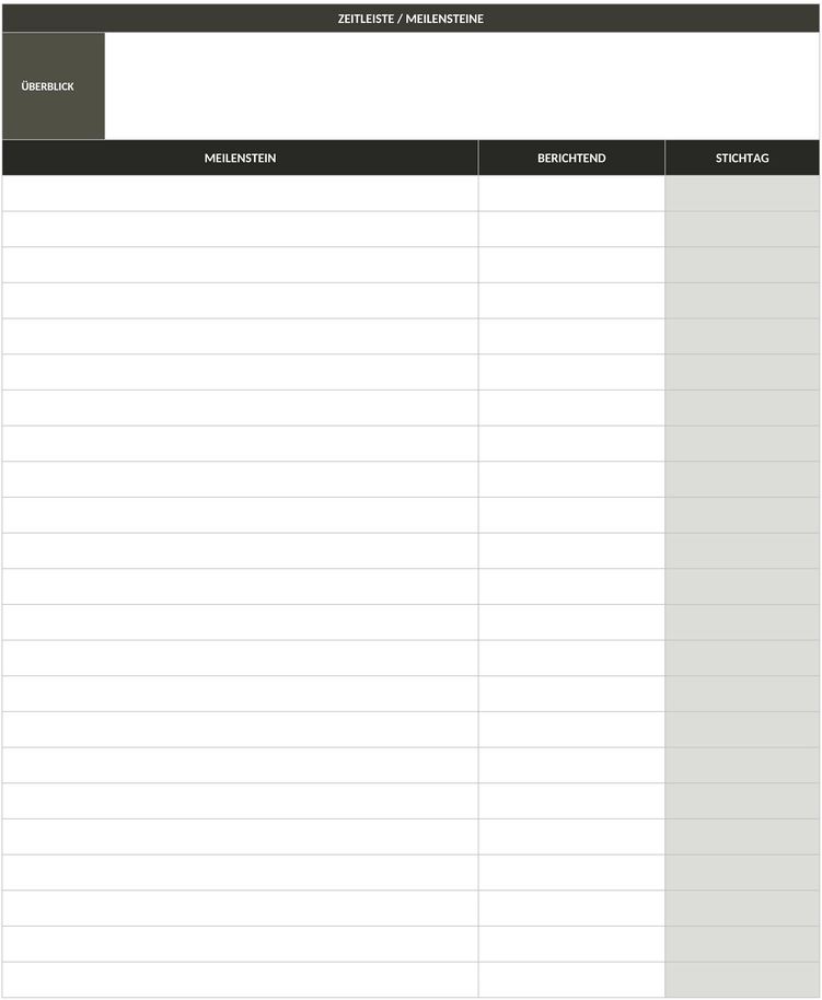 consulting-projektvorschlag-vorlage-word