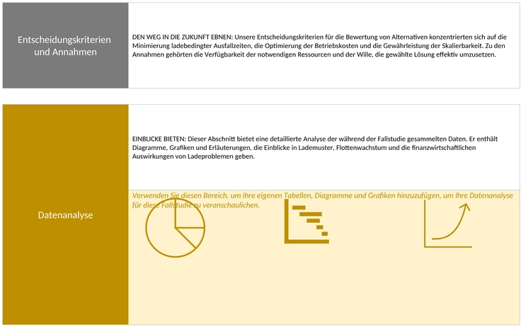 data-driven-case-study-vorlage-beispiel-word-de