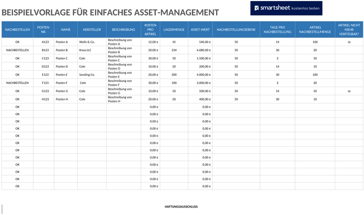 einfaches-asset-management-beispiel-word