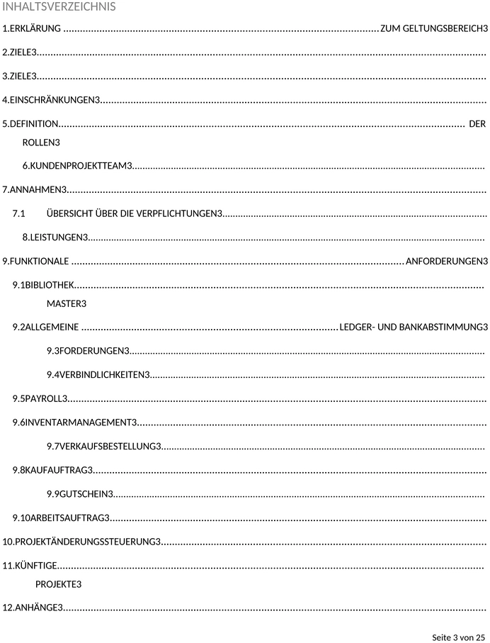 erp-projektumfang-vorlage-word