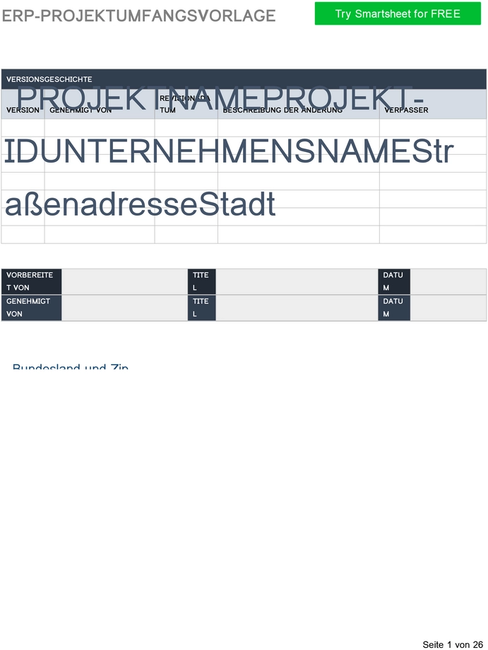 erp-projektumfangsvorlage-fuer-projektmanagement