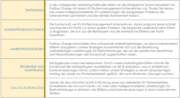 fallstudie-ev-ladeloesungen-marketing-strategien-berichterstattung
