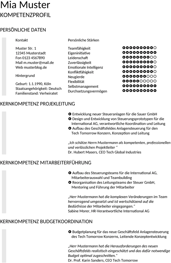 fuehrungskraft-kompetenzprofil-vorlage-muster-bewerbung