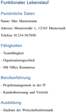 funktionaler-lebenslauf-vorlage-word