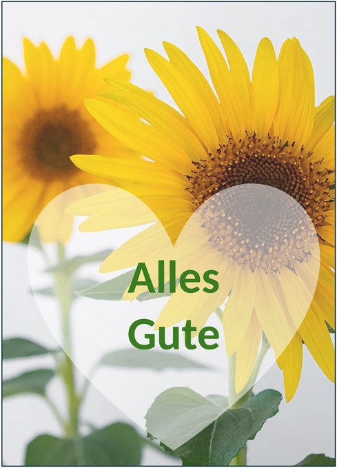 geburtstagskarte-sonnenblume