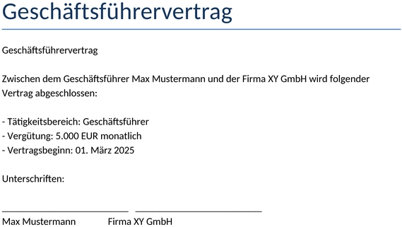 geschaeftsfuehrervertrag