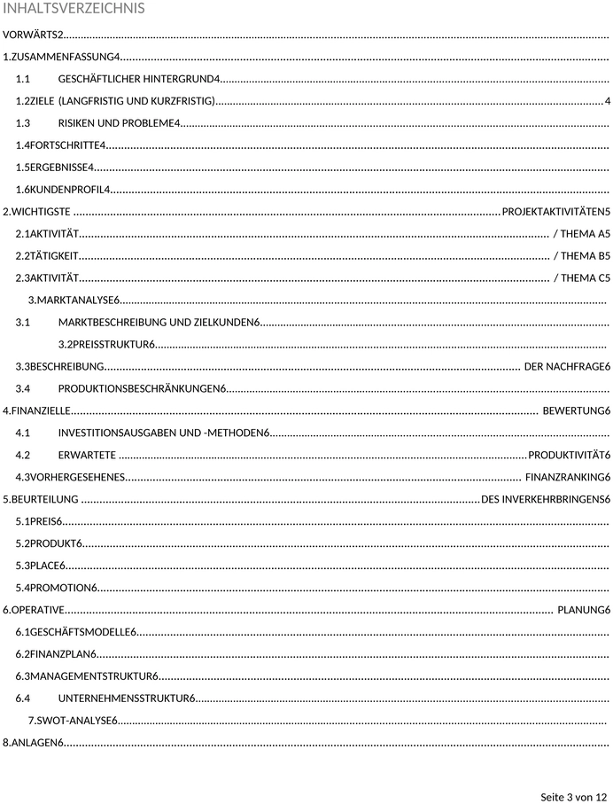 ic-business-projekt-bericht-49018-word-de