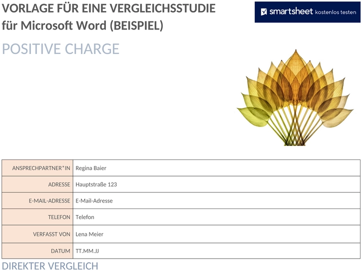 ic-comparative-study-vorlage-microsoft-word-50076-beispiel