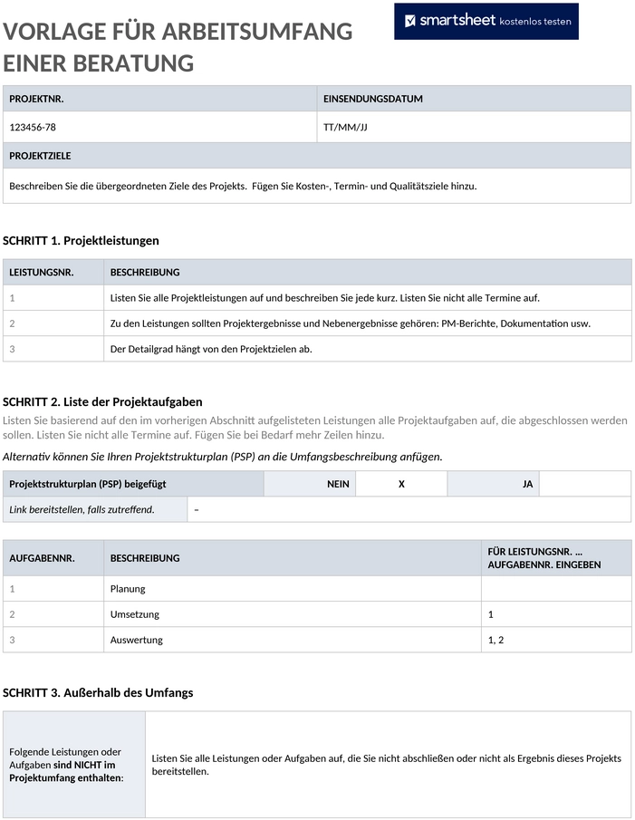 ic-consulting-umfang-dokumentation-11498-word-de