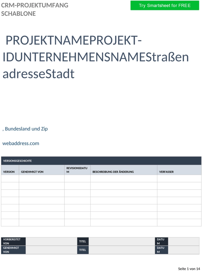 ic-crm-projektumfang-word-template