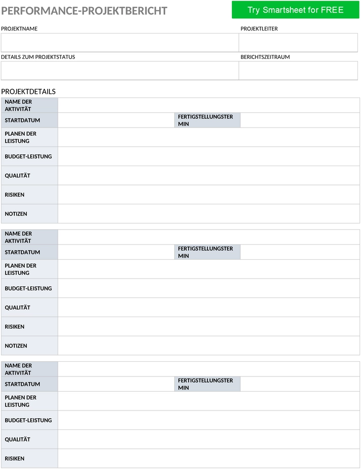 ic-performance-projekt-bericht-49018-word-de