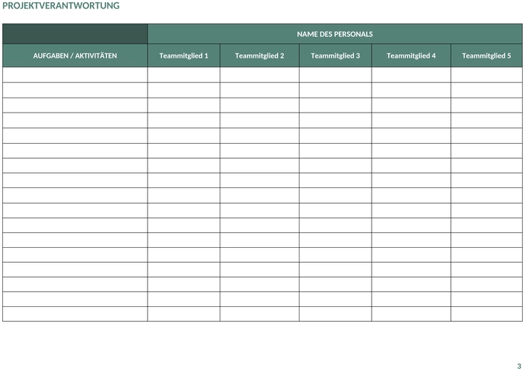 ic-programm-management-plan-49276-word-de