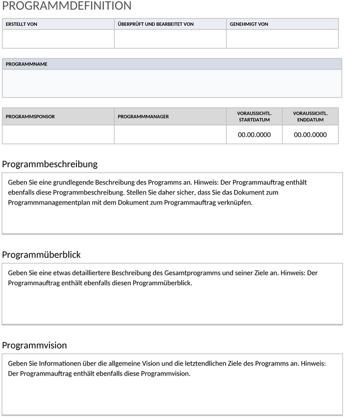 ic-programm-management-plan-beispiel-50200-word-de