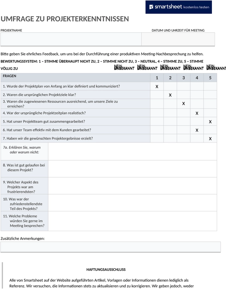 ic-projekt-lessons-learned-umfrage-11070-word-de