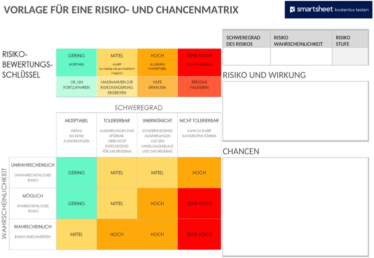 ic-risiko-und-chancen-matrix-50174-word-de