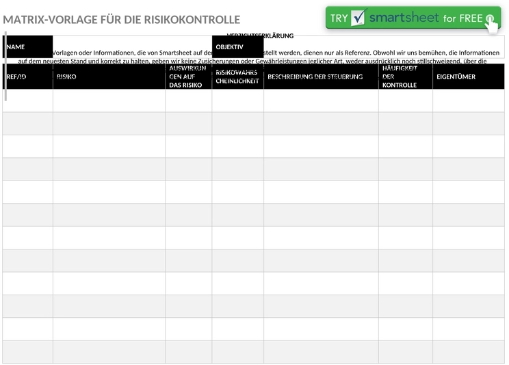 ic-risk-control-matrix-vorlage