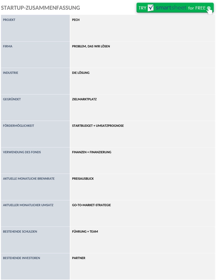 ic-startup-executive-summary