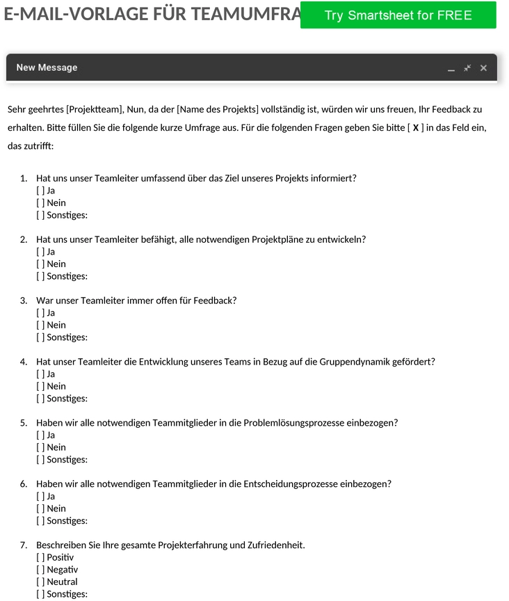 ic-team-umfrage-e-mail-vorlage