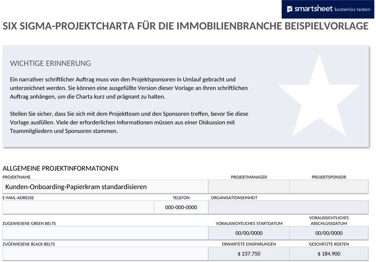 immobilien-six-sigma-projekt-charta-beispiel-11480