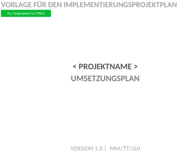 implementierungsprojektplan-word-template