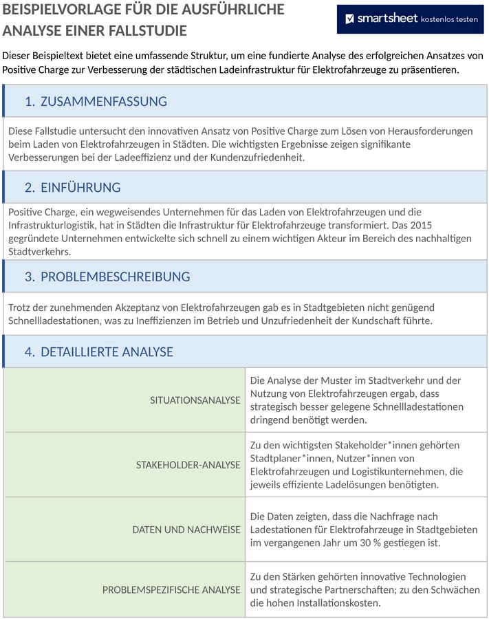 in-depth-analyse-fallstudie-vorlage-50102-word-de